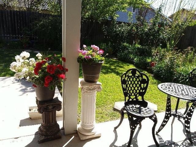 DELICATE STEMS FOR THE ELDERLY