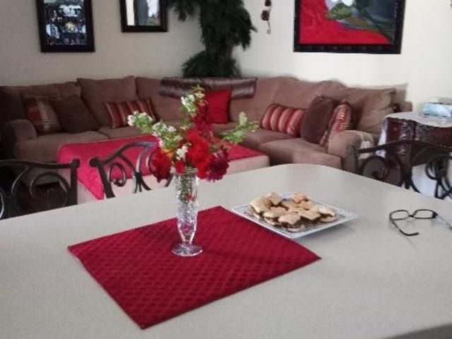 DELICATE STEMS FOR THE ELDERLY