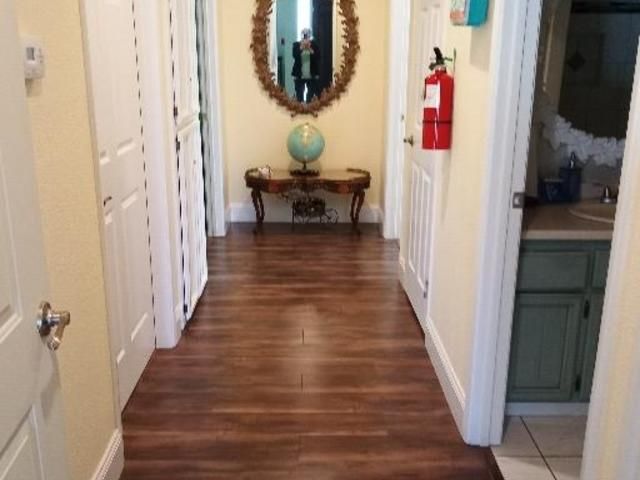 DELICATE STEMS FOR THE ELDERLY