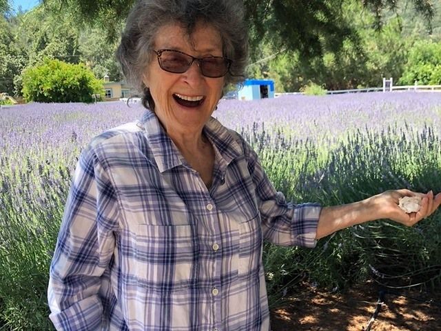 INGLESIDE ASSISTED LIVING