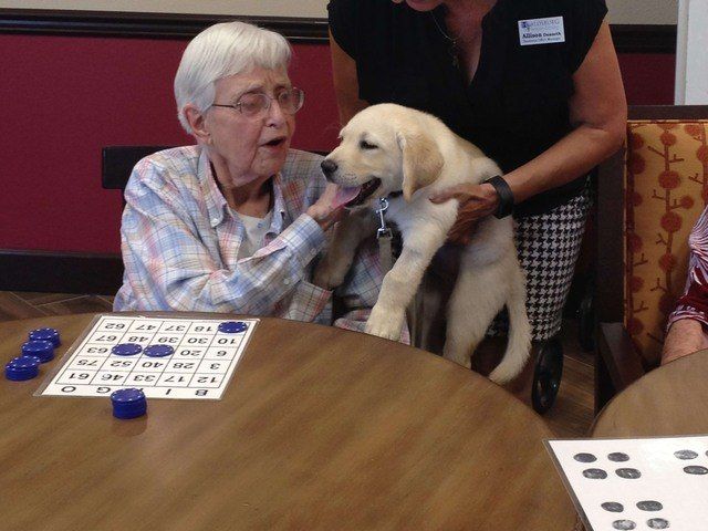 HEALDSBURG SENIOR LIVING COMMUNITY
