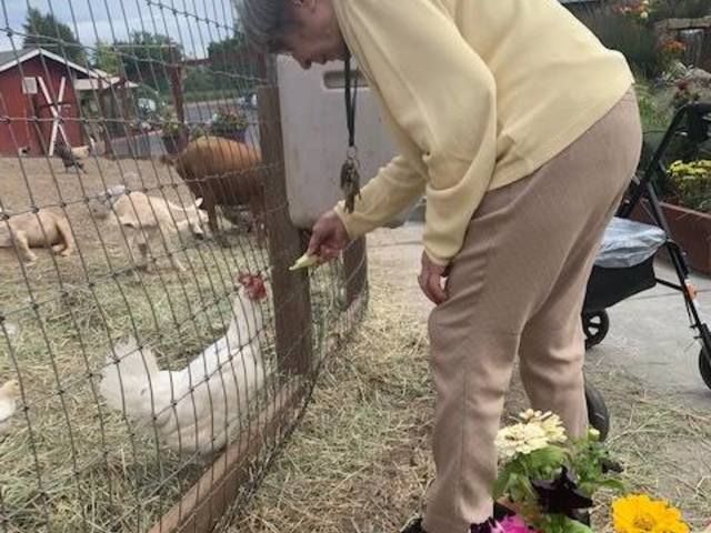 HEALDSBURG SENIOR LIVING COMMUNITY