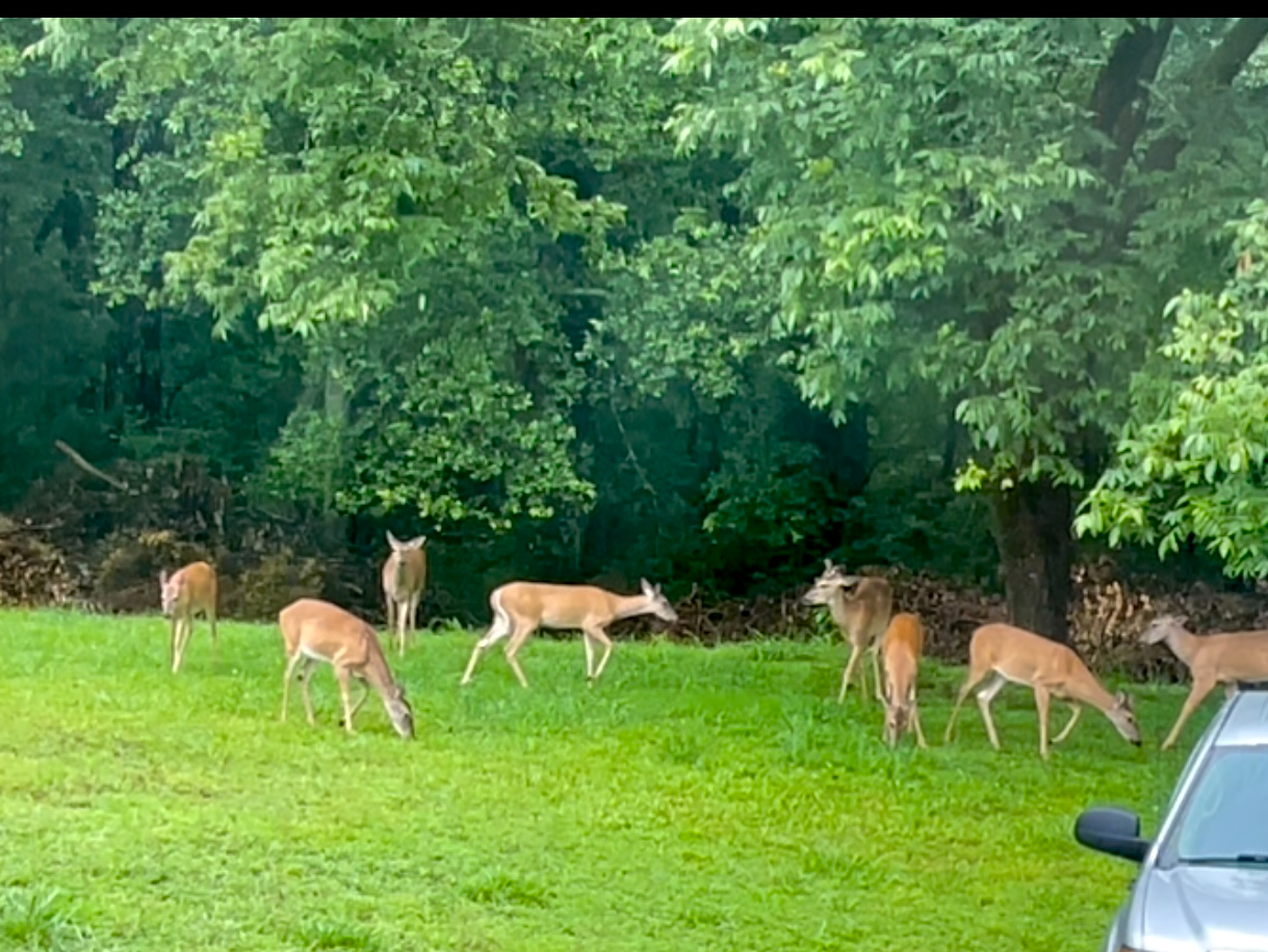 Gallery Image for HAVEN MEMORY CARE in ATHENS, GA