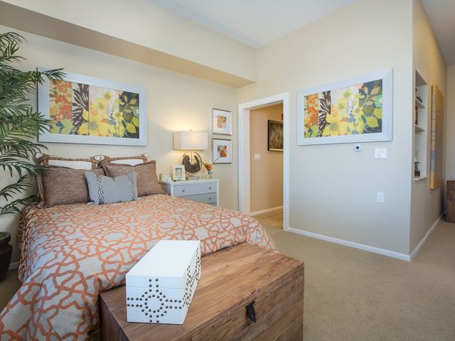 Morningstar Of Albuquerque