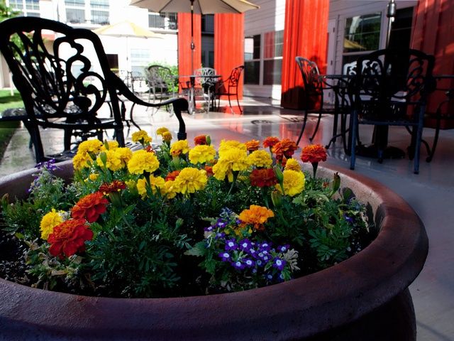 MORNINGSTAR OF SPARKS