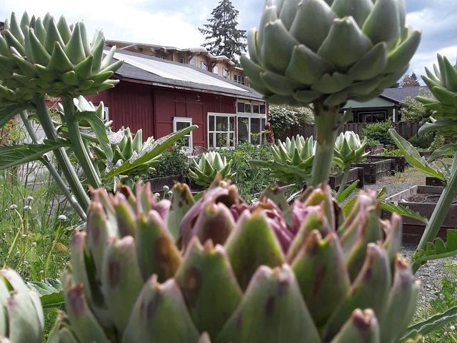 Gallery Image for Fanno Creek By Elite Care in Tigard, OR