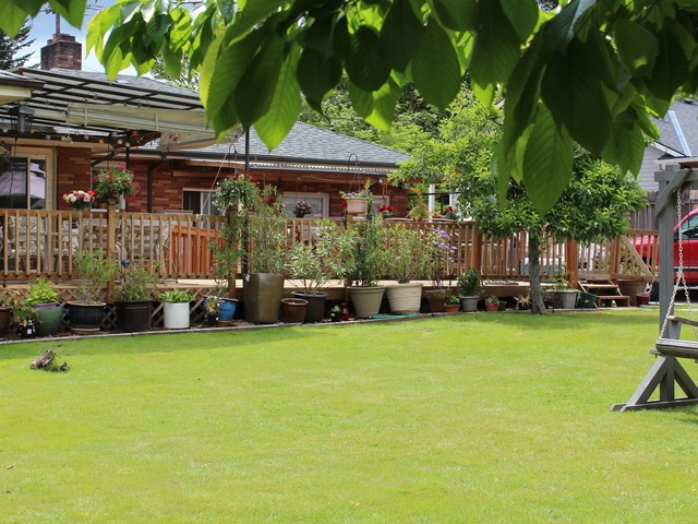 Gallery Image for Mirela Gavojdea and Constantin Gavojdea in Portland, OR