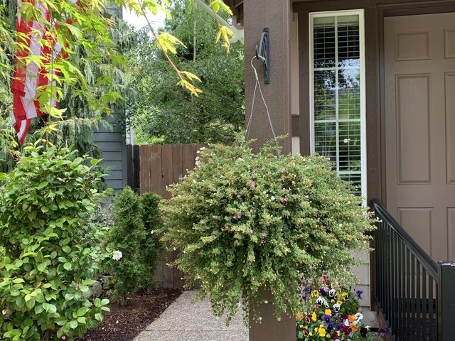 Gallery Image for Alina Stoica in Tigard, OR