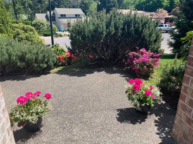 Gallery Image for Josephine Frazier in Gresham, OR