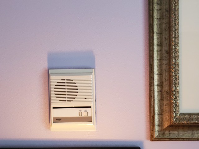 Gallery Image for Daniela Bogdan in Hillsboro, OR