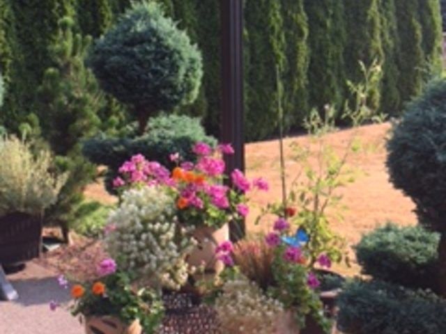 Gallery Image for Simona Matia in Portland, OR