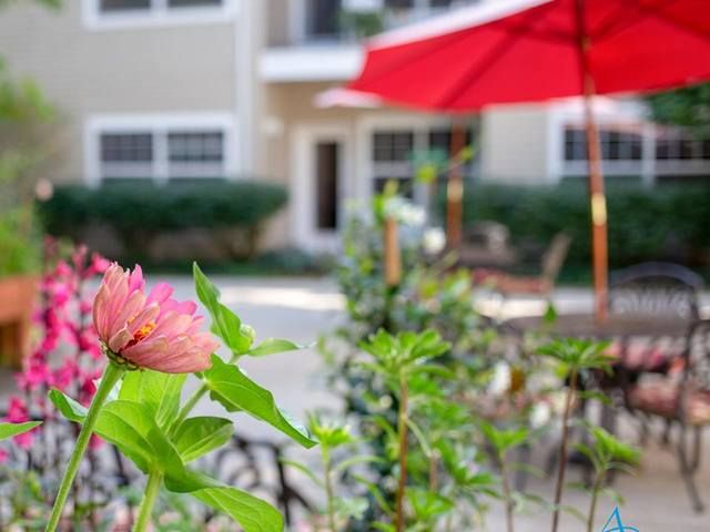 Avamere at Cascadia Village