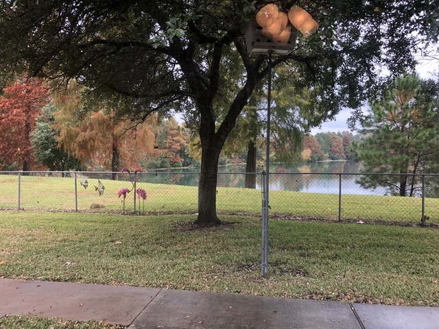 Gallery Image for Lakehouse On Dixie in Pearland, TX