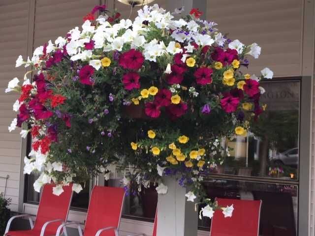 FARRINGTON COURT RETIREMENT COMMUNITY - Assisted Living Home photo 6 in Kent, WA