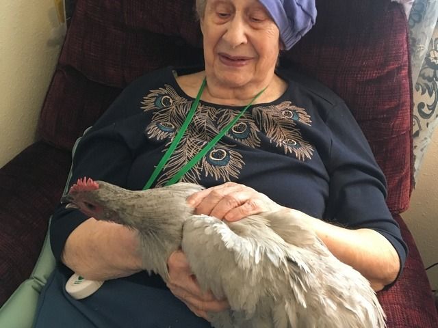 AT HOME AGAIN AFH LLC