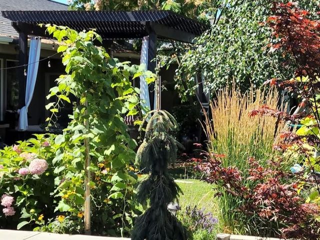 Desert Wind Gardens AFH