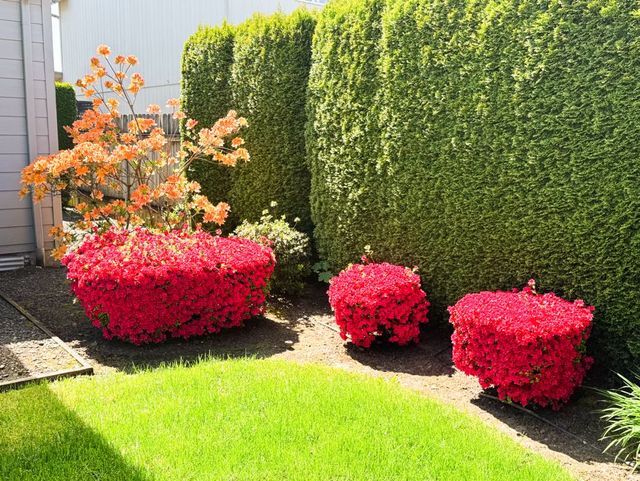 Evergreen Elder Care AFH