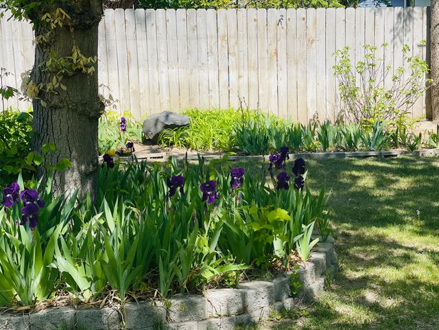 Gentle Hands Home Care LLC