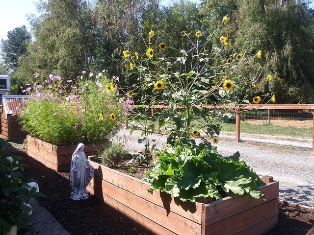 Deer Creek Adult Family Home Inc - Assisted Living Home photo 4 in Puyallup, WA