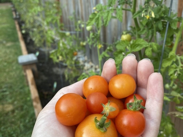 Gallery Image for Forest Cottage AFH in BOTHELL, WA