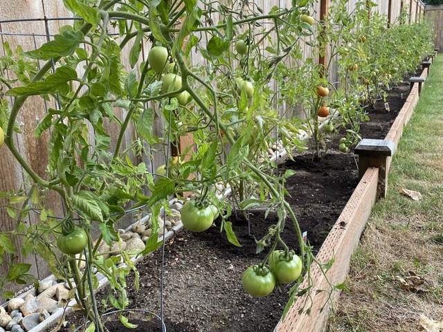 Gallery Image for Forest Cottage AFH in BOTHELL, WA