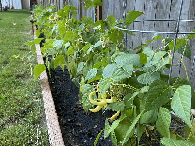 Gallery Image for Forest Cottage AFH in BOTHELL, WA