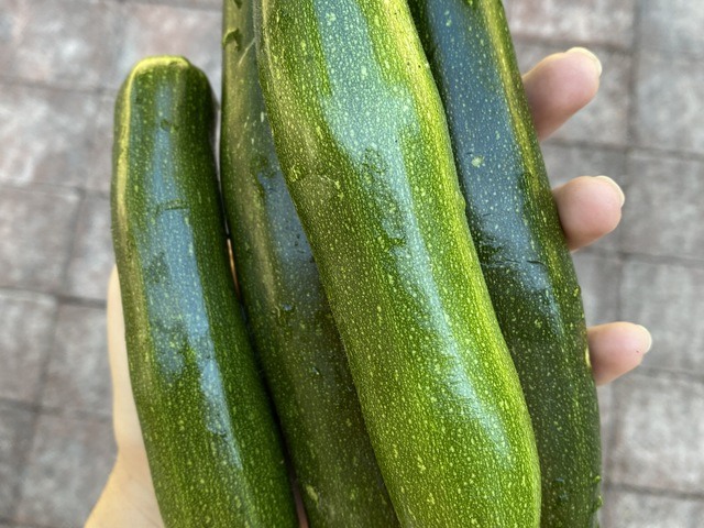 Gallery Image for Forest Cottage AFH in BOTHELL, WA