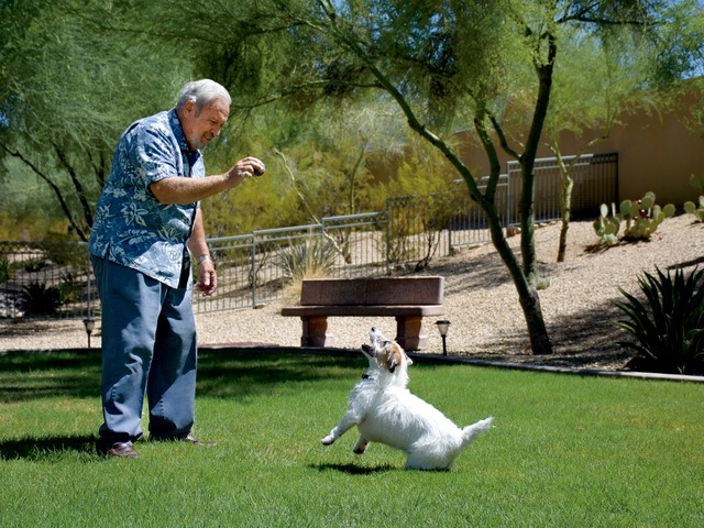 Gallery Image for VI AT SILVERSTONE, A VI AND PLAZA COMPANIES COMMUN in SCOTTSDALE, AZ