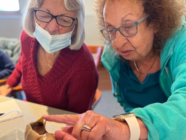 Gallery Image for FAIRVIEW in GROTON, CT