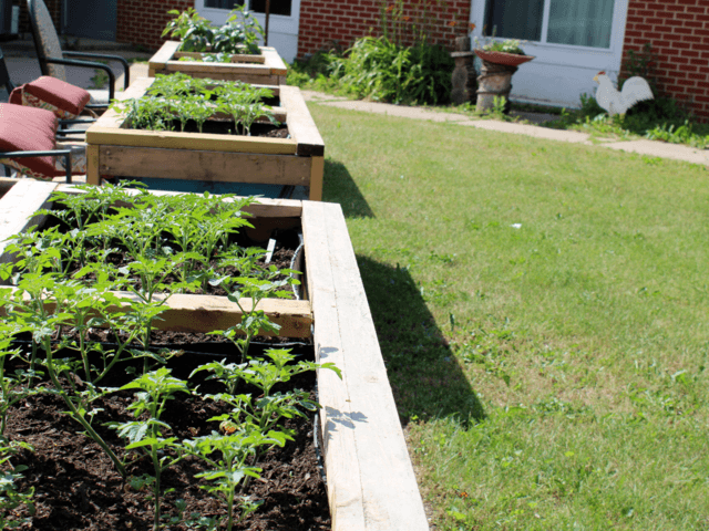 Gallery Image for ACCURA HEALTHCARE OF CRESCO in CRESCO, IA