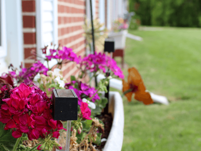 Gallery Image for ACCURA HEALTHCARE OF CRESCO in CRESCO, IA