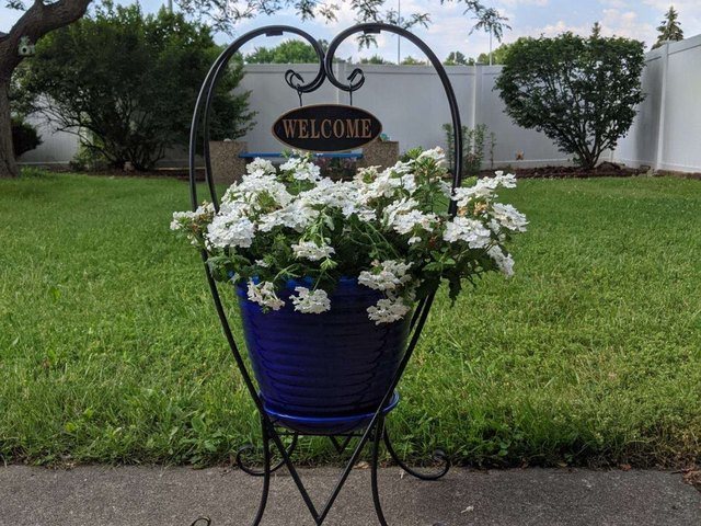 Gallery Image for ARBORS AT FAIRLAWN THE in FAIRLAWN, OH