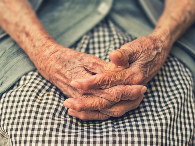 Gallery Image for Home Companion Solutions, Inc. in Chicago, IL