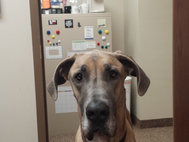 Gallery Image for COMFORCARE SENIOR SERVICES in Oakdale, MN