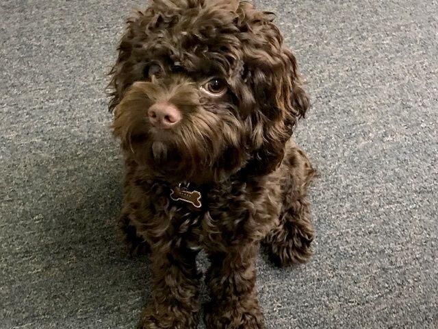 Gallery Image for BRIGHTER DAYS NURSING AGENCY LLC in FORT LAUDERDALE, FL