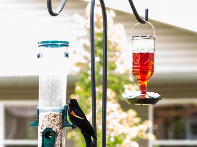 Gables of Idaho Falls Assisted Living & Memory Care