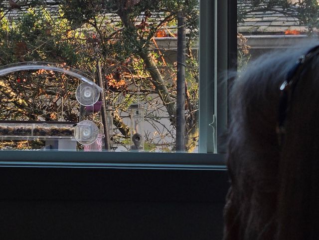 Gallery Image for Evergreen Gentle Senior Care in Woodinville, WA