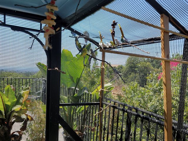 Gallery Image for Amber Autumn Board & Care in Covina, CA