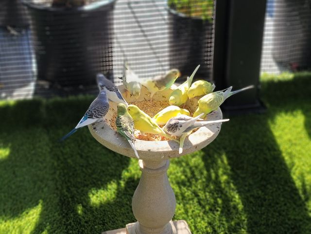 Gallery Image for Amber Autumn Board & Care in Covina, CA