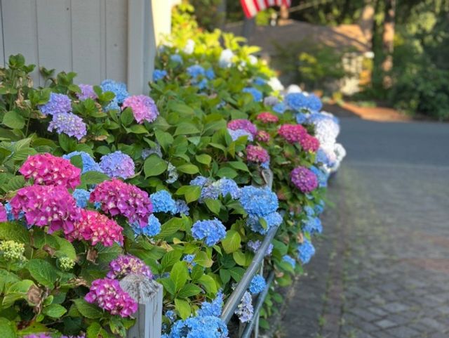 Gallery Image for Elderly Wellness LLC in BELLEVUE, WA