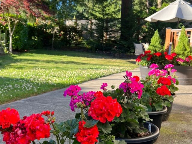 Gallery Image for Elderly Wellness LLC in BELLEVUE, WA