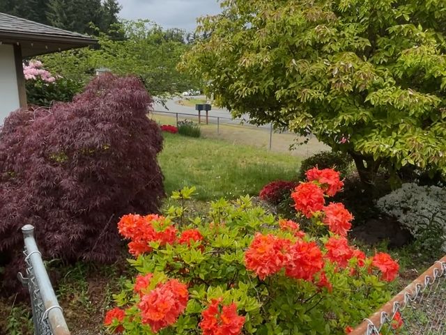 Meradon LLC - Assisted Living Home photo 16 in Everett, WA