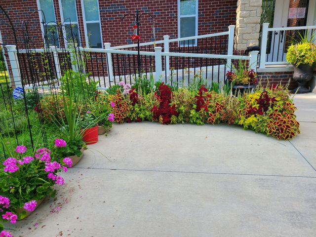 SERENITY MANOR OF CANTON