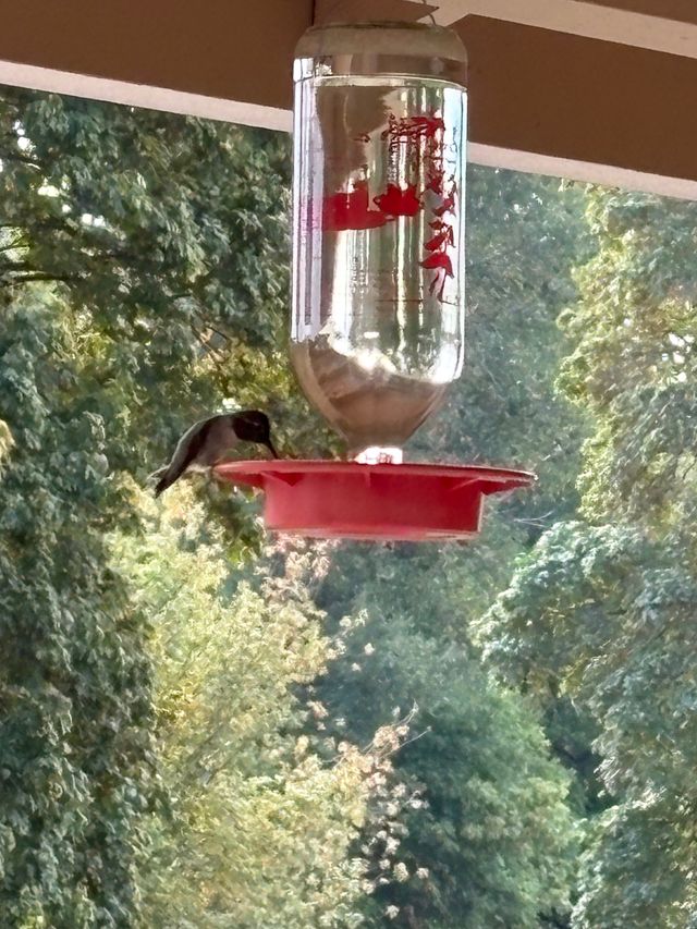 On The River Adult Foster Home