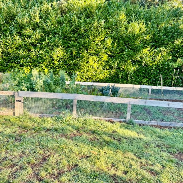 BLOOMING VILLA ADULT FAMILY HOME