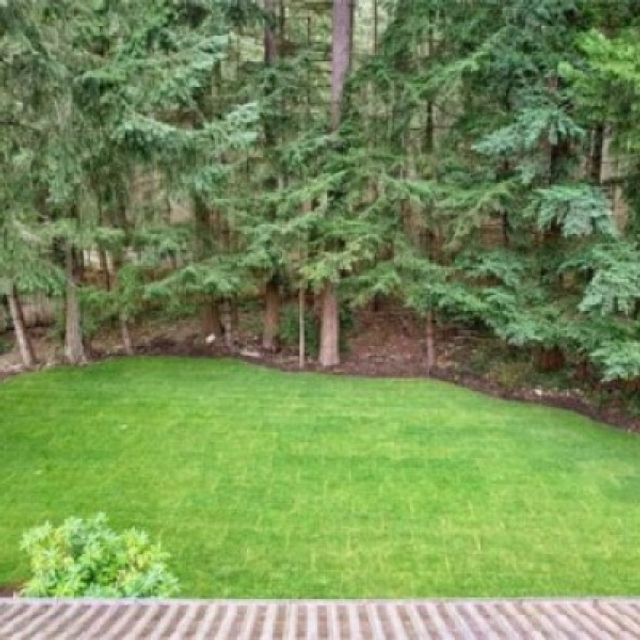 Honey Homes LLC