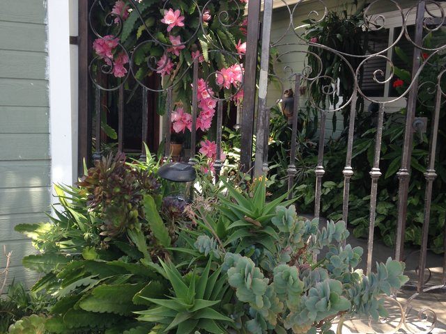 COAST NEW HORIZON Image in COSTA MESA, CA