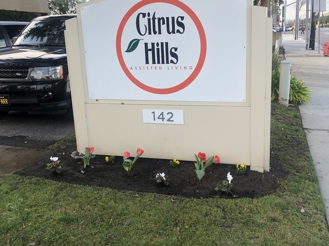 CITRUS HILLS ASSISTED LIVING Image in ORANGE, CA