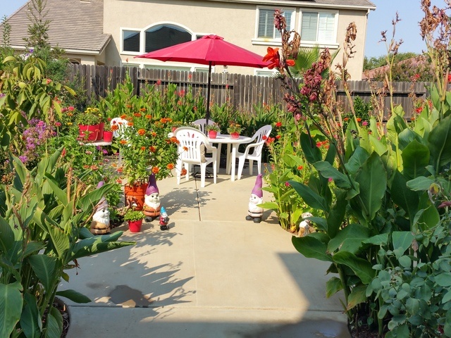 HAPPY LIFE VILLA Image in LINCOLN, CA