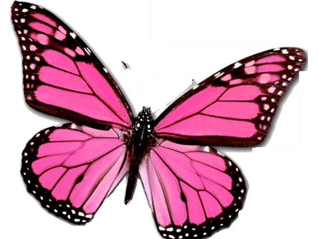 SAFE HAVEN HOME I Image in ADELANTO, CA